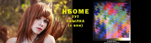 Альфа ПВП Верея