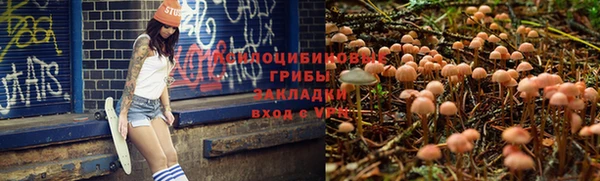 Альфа ПВП Верея