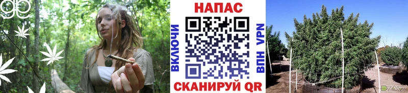 купить наркотики цена  Рузаевка  Каннабис тримм 